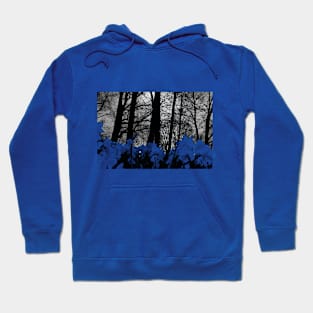 Dacidilles Hoodie